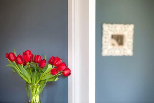 The Boutique Apartments
