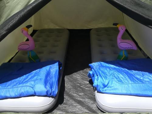 Ibiza Beach Camp