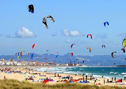 Home Vejer