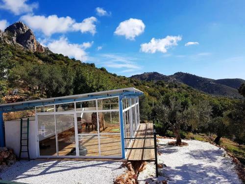 Hostal Olive Branch