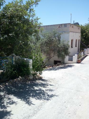 Hostal Olive Branch
