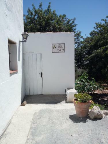 Hostal Olive Branch