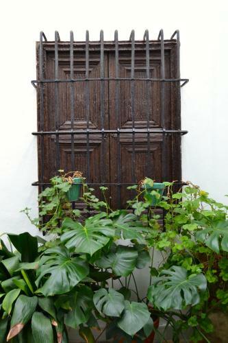 Apartamento La Casa De Almocita