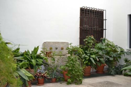 Apartamento La Casa De Almocita