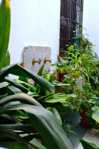 Apartamento La Casa De Almocita