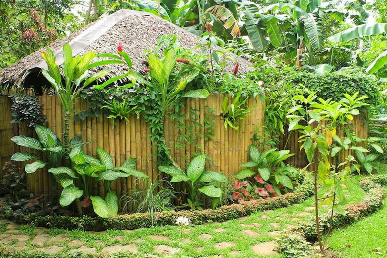 Hostal Fox & The Firefly Cottages