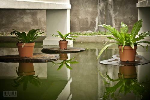 Bed & Breakfast Cleon Villas Pension