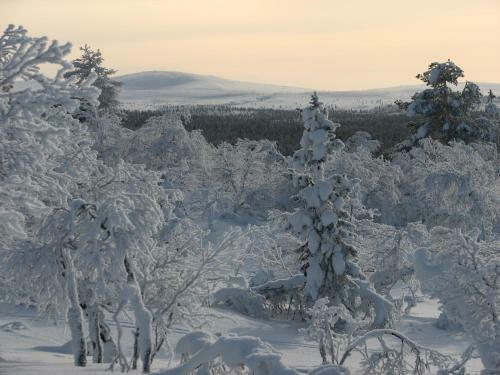 Saarisel�n Marjamajat
