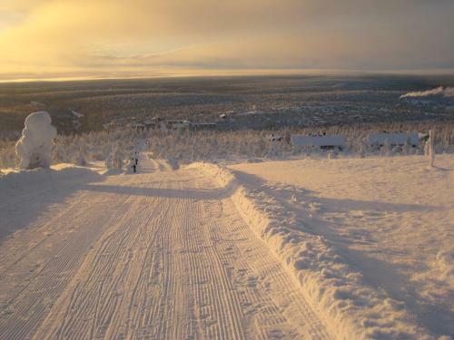 Saarisel�n Marjamajat