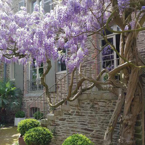 Bed & Breakfast Castel Jolly