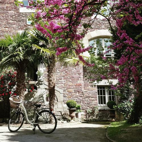 Bed & Breakfast Castel Jolly