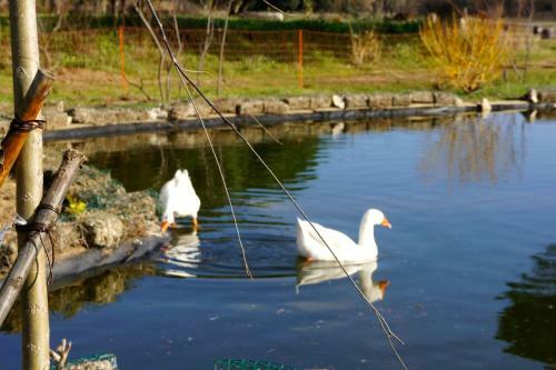 Bed & Breakfast Campagne Les Jumeaux