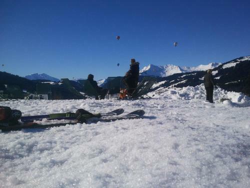 Hotel Le Lodge Chasse Montagne