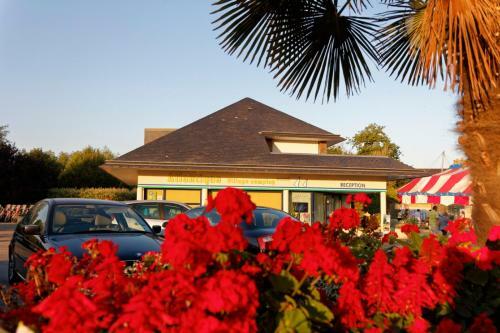 Camping Sunelia L'atlantique