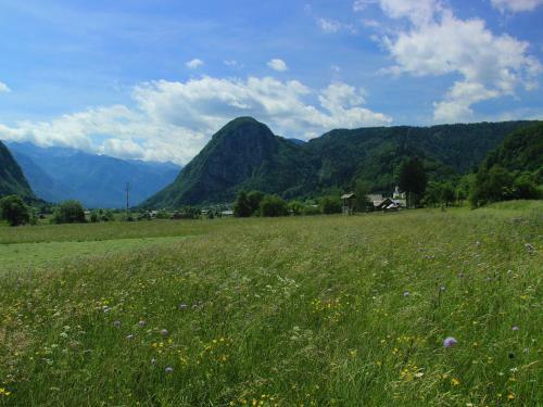 Holiday Home Apartment Zupancic 2