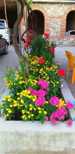 Hostal Tsminda Giorgi Apartment