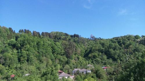 Hostal Guest House Pirvelwodebuli
