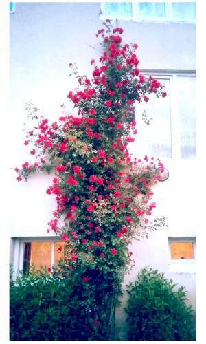 Hostal Mestia Valeris Guesthouse