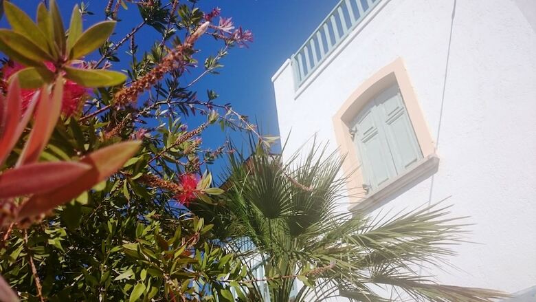 Hotel Amazones Village Suites