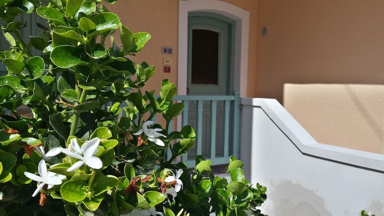 Hotel Amazones Village Suites
