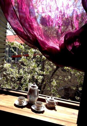 Hostal Guest House Evdoshvili St N5