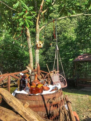 Hostal Guest House Mtirala National Park