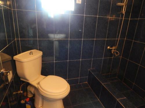 Hostal Valodia Xergianis Guest House In Mestia