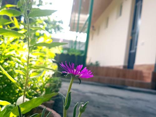 Hostal Family Hotel