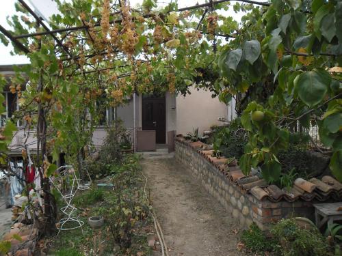 Hostal Luizastan