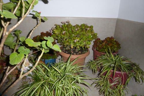 Kutaisi Hotel California