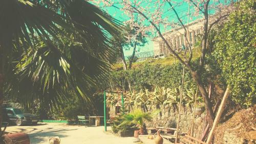 Hostal Guest House Lasha