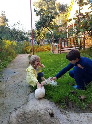 Hostal Guest House Ruslan