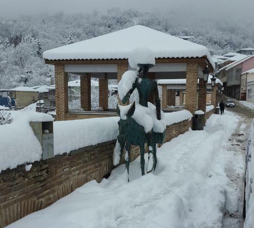 Hostal Guest House Lola