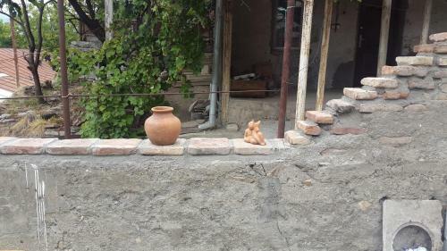Hostal Guest House Lola