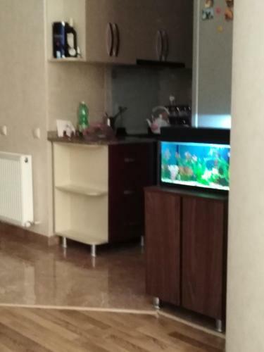 Apartment On Tavdadebuli