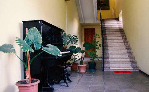 Hotel Tirifiholiday