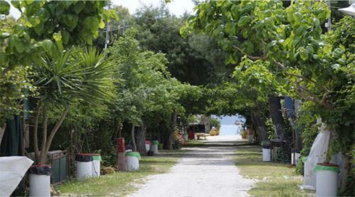 Argolic Strand Camping