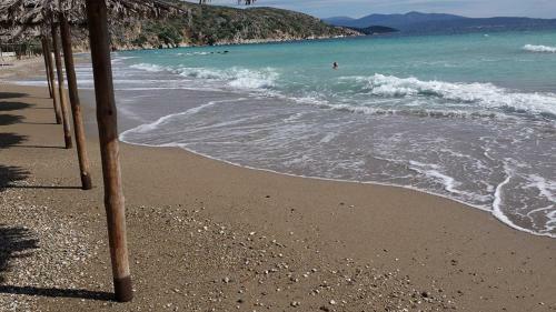 Argolic Strand Camping