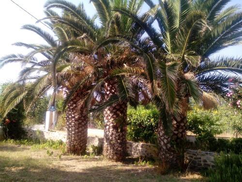 Hostal Guesthouse Karidia