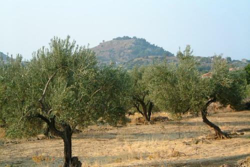 Hostal Guesthouse Karidia