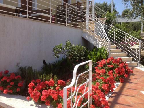 Apartamento Tesoro Of Ithaca