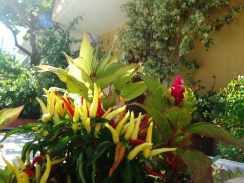 Apartamento Casa Di Maura