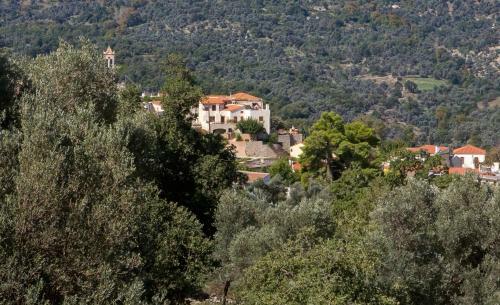 Amari Villas