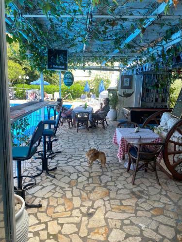 Alexandros Studios Apartments