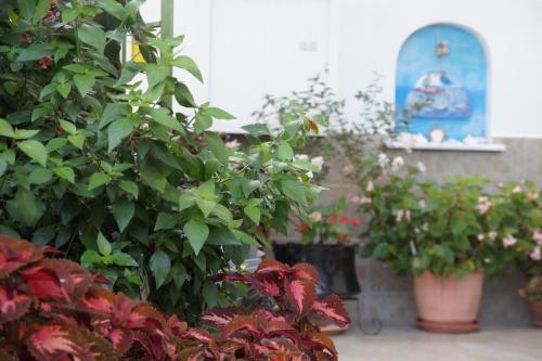 Apartamento Maria & Kyros House
