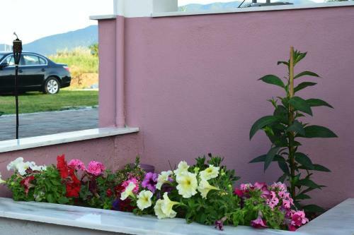 Apartamento Littore Maris