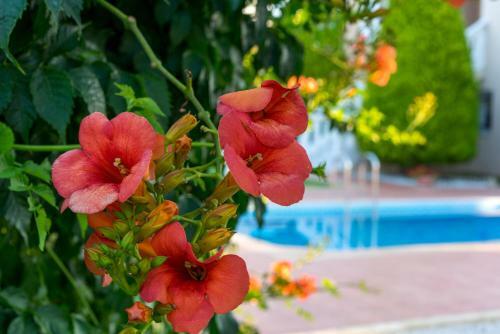 Villa Aretousa 1