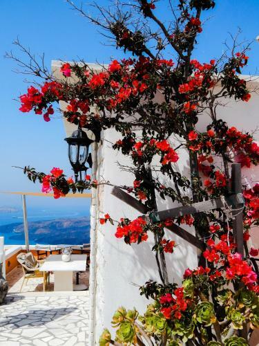 Hotel Le Petit Greek