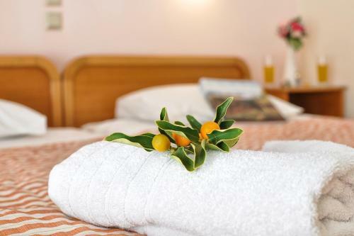 Apartamento Lido Sofia Holidays