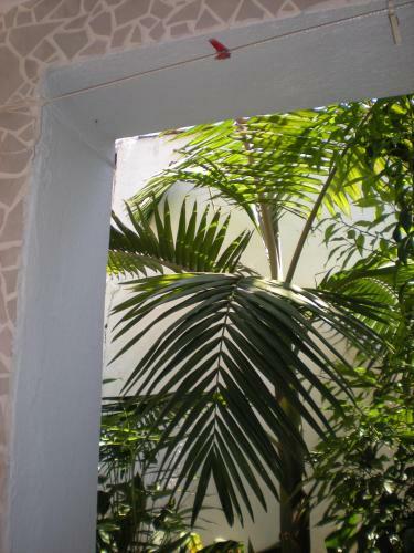 Apartamento Manolis' House